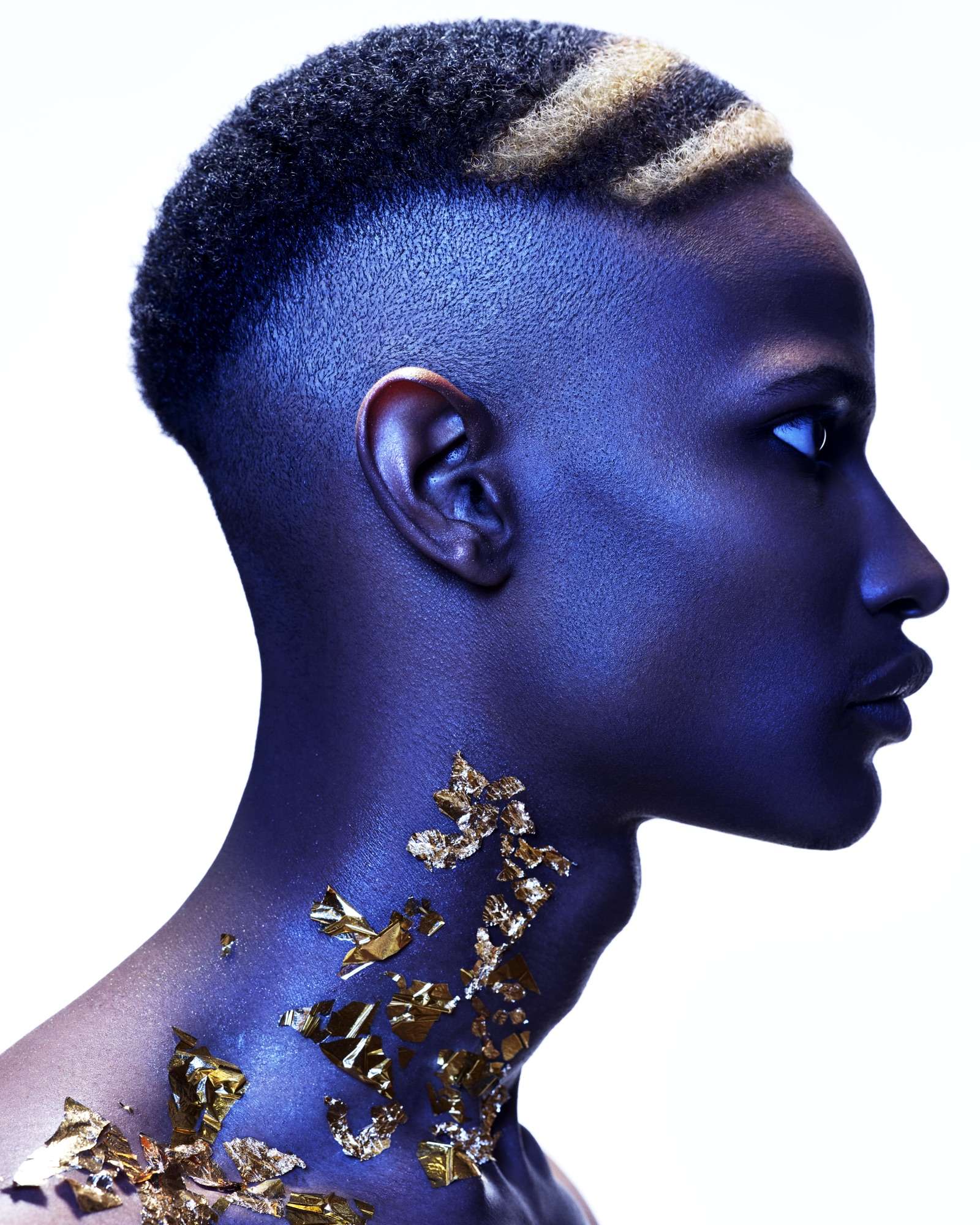Afro collection by Ashley Gamble Afro collection: profile with a sculpted crop and blonde stripes, gold leaf on the neck